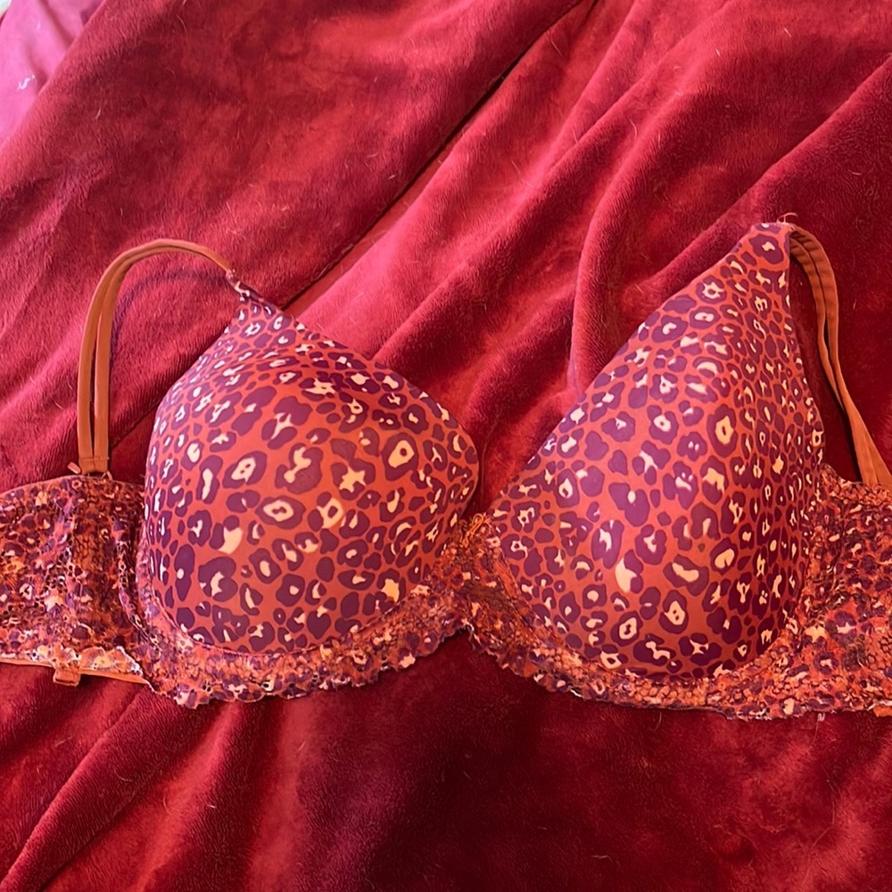 Bra